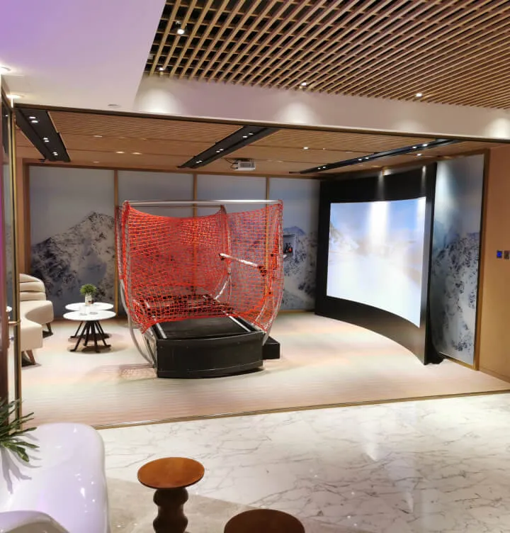 Ski simulator gallery